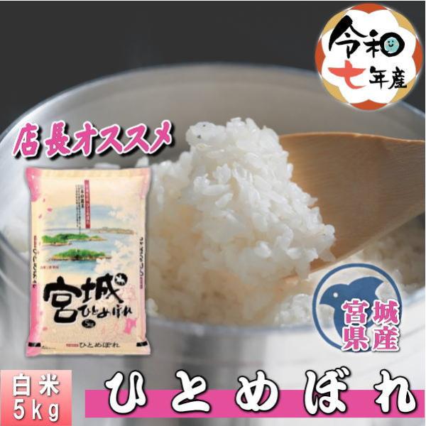 ひとめぼれ 米 5kg 宮城県産 お米 7年産 送料無料『令和7年宮城県産