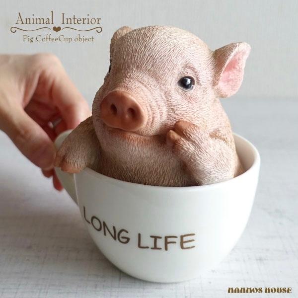 ~j u^ 킢 u R[q[Jbv  IuWF u Aj} I[ig  rO  CeA G  }OJbv sbO