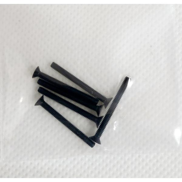 強度の高いステンレス製の皿ビス2mm×20mm 6本セットです。ブラックカラーなので、ビスの頭が目立ちません。ステンレスビス　ロングビス　皿ビス　ステンレスブラック