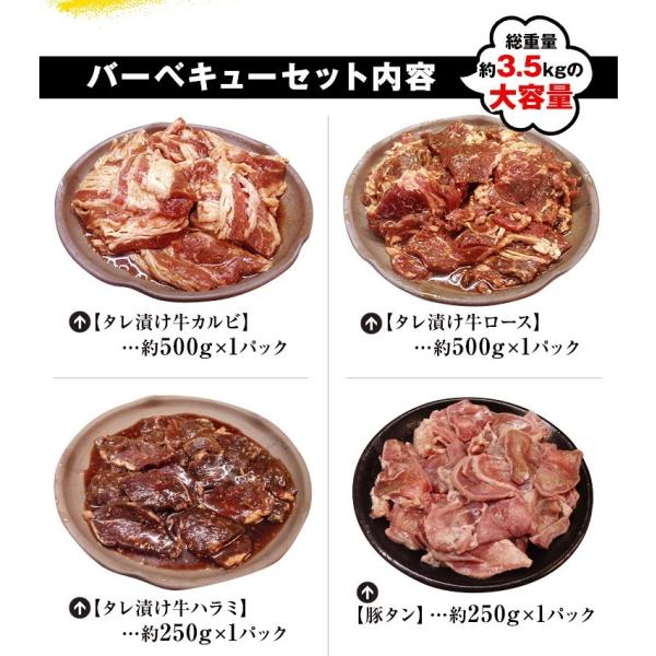 肉 牛肉 豚肉 鶏肉 焼肉セット 盛り バーベキュー ハラミ q 10人前 10種類 総重量3 5kgセット 商番819 Buyee 日本代购平台 产品购物网站大全 Buyee一站式代购 Bot Online