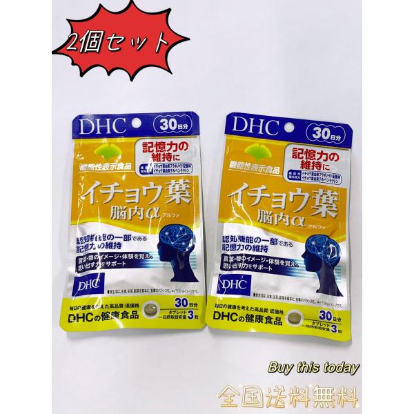 DHC イチョウ葉 脳内アルファ 60日分（30日分×2袋セット） ネコポス