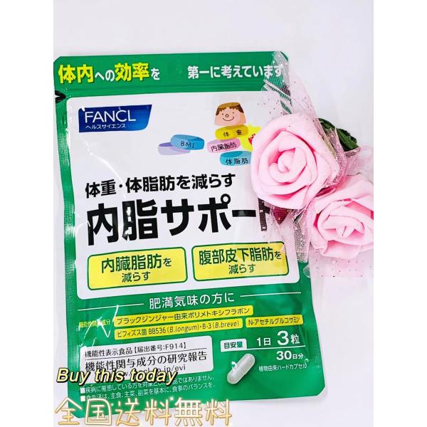 【ポイント15%】内脂サポート 機能性表示食品 30日分 内臓脂肪 サプリメント サプリ ブラックジンジャー ないしさぽーと 短鎖脂肪酸 ファンケル FANCL 公式