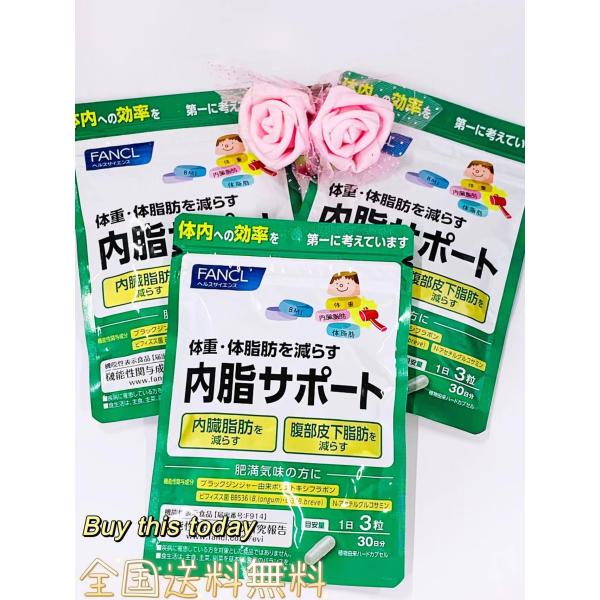 【ポイント15%】内脂サポート 機能性表示食品 30日分 内臓脂肪 サプリメント サプリ ブラックジンジャー ないしさぽーと 短鎖脂肪酸 ファンケル FANCL 公式