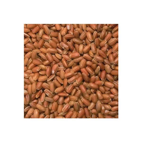 Ñā@ԕā@(ߘa6NYt/xR/Yj 10kg@ۑ