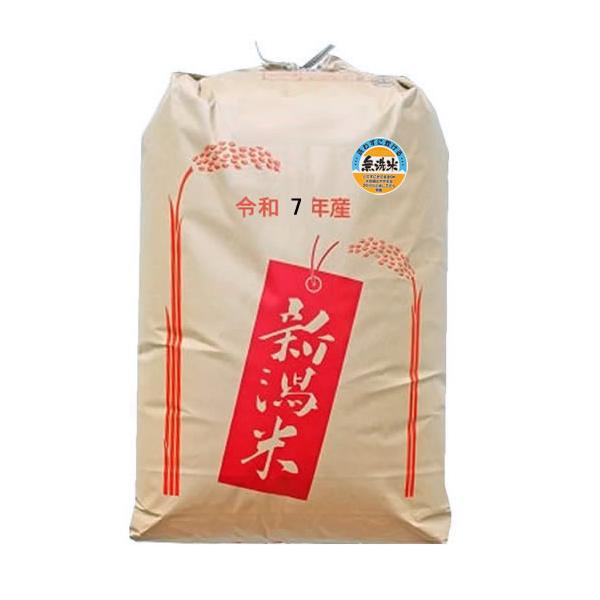 【無洗米】新米 もち米 令和8年産新潟県産わたぼうし 精米 30kg 【事業所配送（個人宅不可）】 予約販売