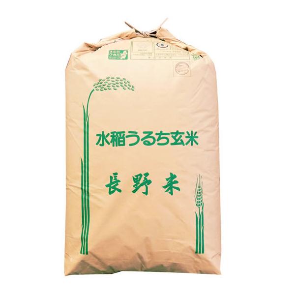 長野県佐久市 2024年産 コシヒカリ 玄米 24kg