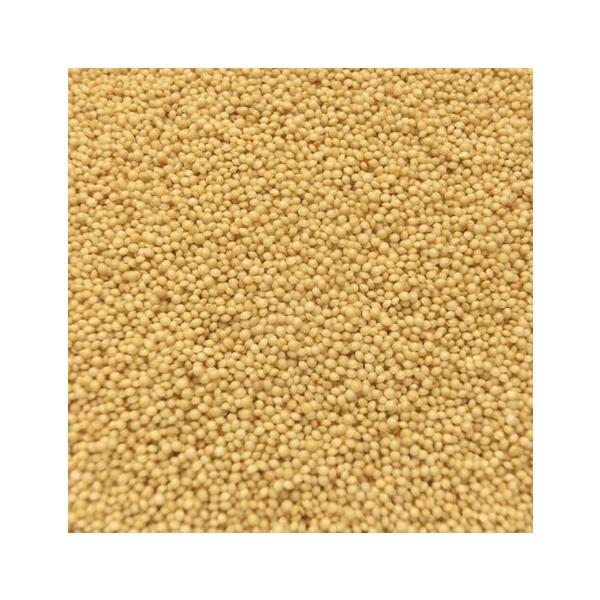 A}TX ChY Ɩp 20kg (10kgx2)