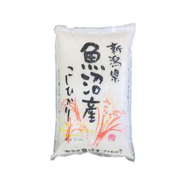 コシヒカリ 魚沼コシヒカリ 米10kg 新潟県 魚沼産 JA十日町 令和7年産