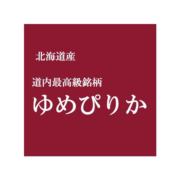 ߂҂肩 10kg kCY A ߘa7NY V