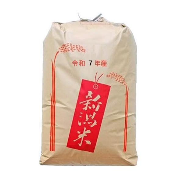こがねもち 玄米30kg こがねもち 3等 新潟県産 最高級もち米 令和7年産  【精米料無料】