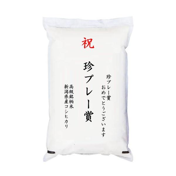 yStRyܕiEiiz uv[܁v  VYRVqJ 2kg