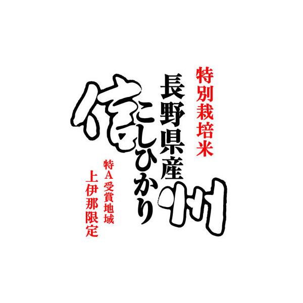 ʍ͔| 10kg RVqJ 쌧ɓߎY ʍ͔| uAv ߘa7NY V