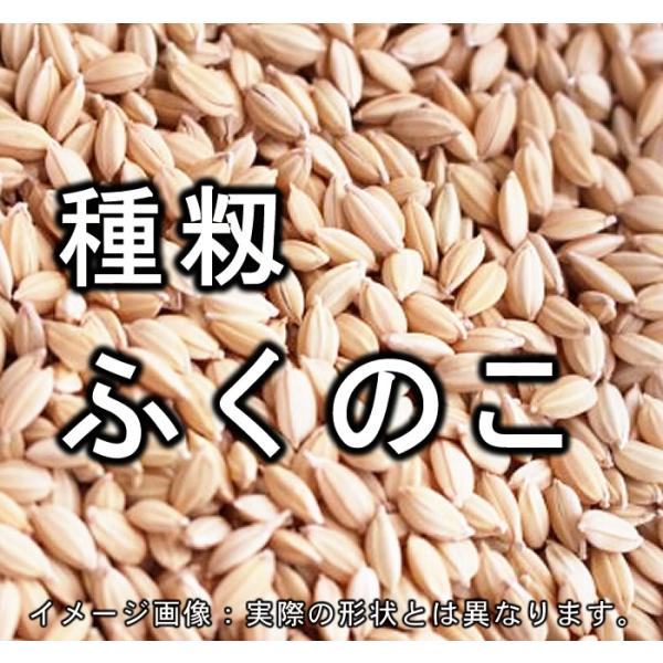 こちらの商品は、【事業所配送（個人宅不可）】です。個人宅には配送できません。下記の条件以外はキャンセルとなります。【事業所配送（個人宅不可）】とは、以下の条件が必要です。●日中10時から17時までの間必ず荷物を引き取れる事業所。●電話番号は...