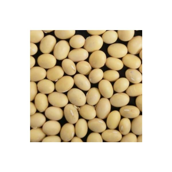 本商品は送料がかかります。※送料計算がうまくいかない場合がございますので、送料は注文受付メールにてご確認ください。送料は同梱可能商品の重量の合計と送り先の都道府県との組み合わせで決まります。ただし、沖縄・一部離島は別途料金が発生致します。詳...