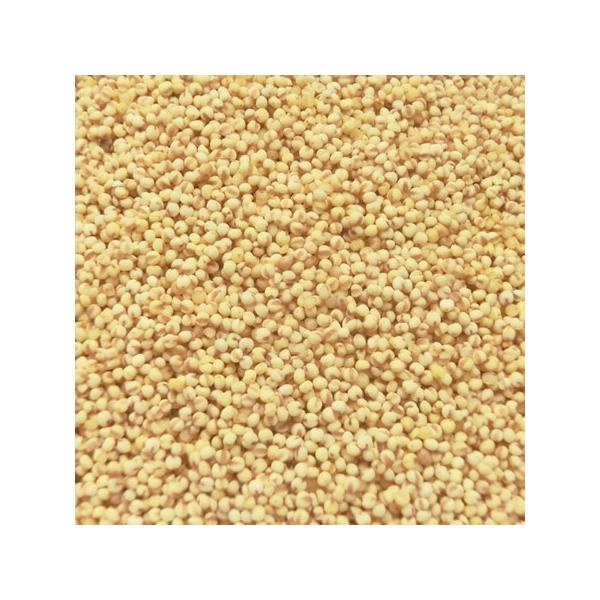 �������� �����Y �Ɩ��p 20kg (10kgx2)