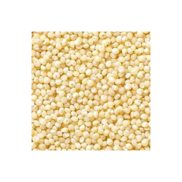 邿  Y Ɩp 20kg (10kgx2)