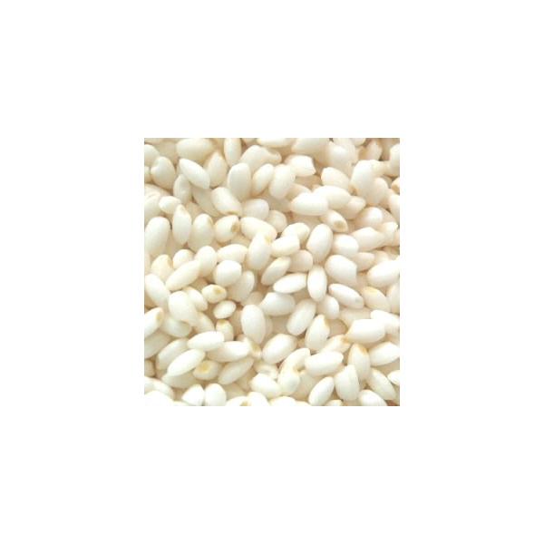 Y ā@300g(2jpbN i֑Ήj