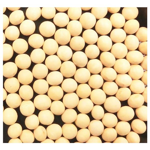 kCY 哤@5kg@(kCYƂ܂)