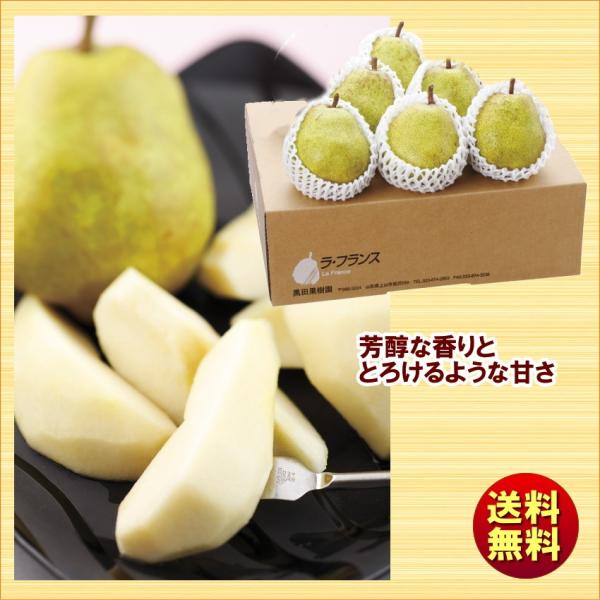 Ε ~Mtg R`cʎ I܍͔|EtX 2kg 