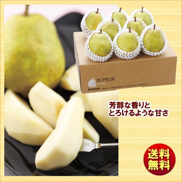 Ε ~Mtg R`cʎ I܍͔|EtX 3kg 