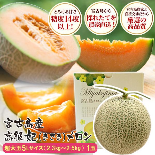 宮古島産 冬メロン 高級 赤肉メロンメガサイズ 5L （2.3kg〜2.5kg）1玉入り　送料無料収穫　12月上旬から（無くなり次第終了）沖縄産メロン　高級赤肉メロン　甘いメロン 冬メロン　妃メロン