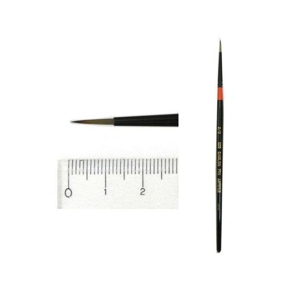 Lv 620 CAMLON PRO #2/0Eh ەM Ae[W 15{܂ŃlR|X։\