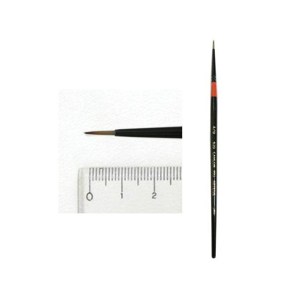 Lv 620 CAMLON PRO #4/0Eh ەM Ae[W 15{܂ŃlR|X։\