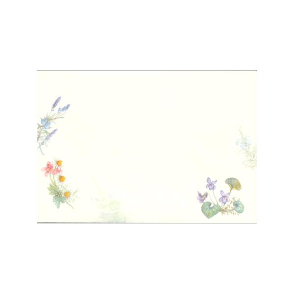  [g n[u 5 4586902 NB 10܂ŃlR|X։\ M݌-2-D1