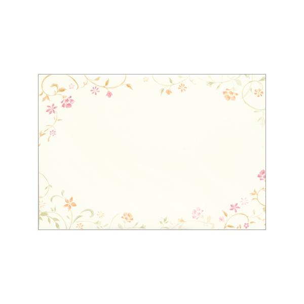  Ƃ΂̑蕨 F 5 4586903 NB 10܂ŃlR|X։\ M݌-2-D1