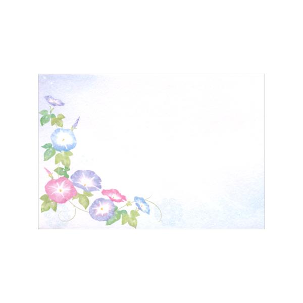   4 4976902 NB 10܂ŃlR|X։\ M݌-2-D1