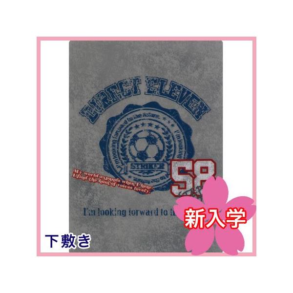 _CNgCu~ B5TCY 85202 N[A 15܂ŃlR|X։\ M݌-2