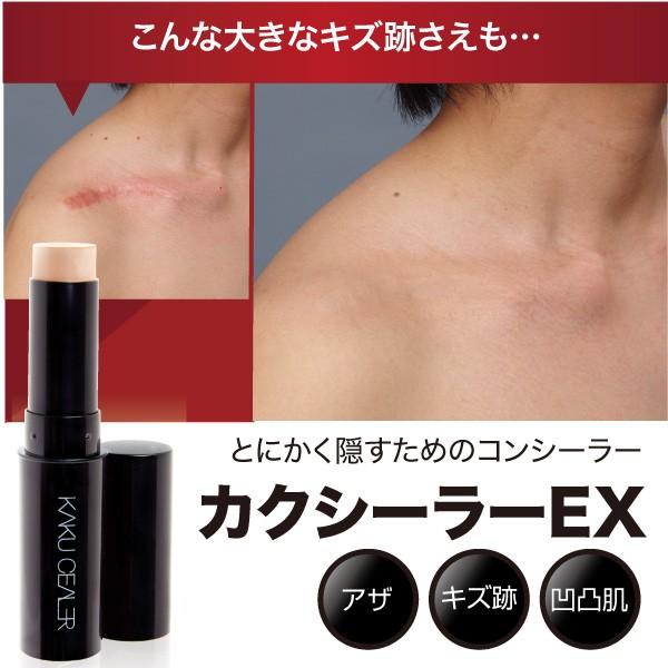 コンシーラー タトゥ カクシーラーEX ライトベージュ ナチュラル 2色セット ネコポス 送料180円