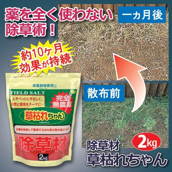 除草剤 ガーデニング 庭 雑草 除草剤 草枯れちゃん 2kg Buyee Buyee Japanese Proxy Service Buy From Japan Bot Online