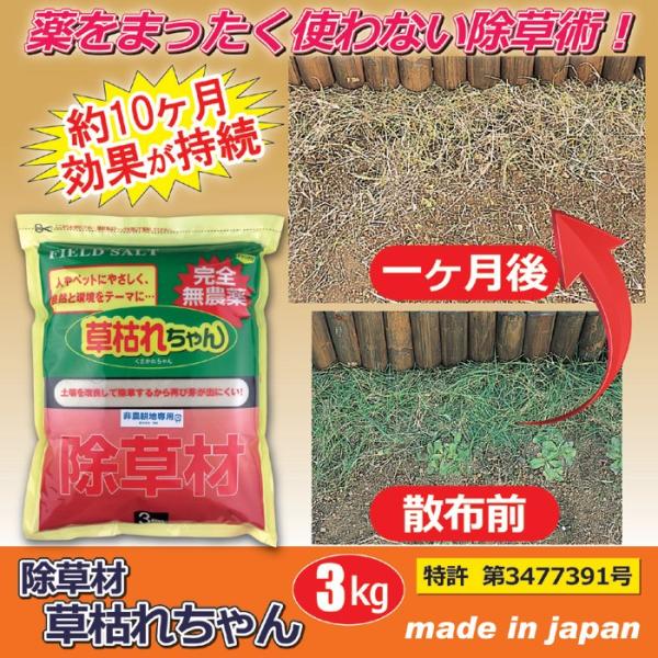  ͂ꂿ 3kg _