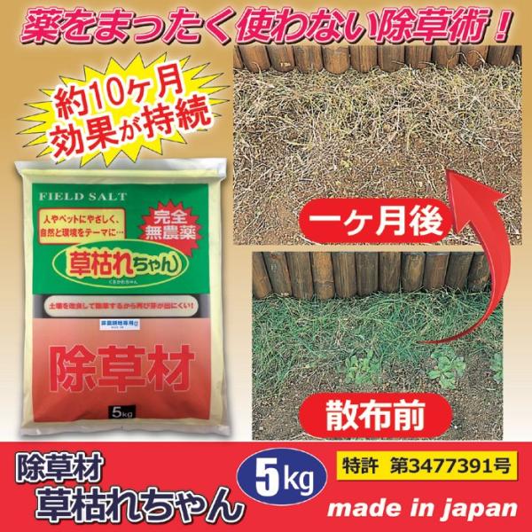  ͂ꂿ 5kg _