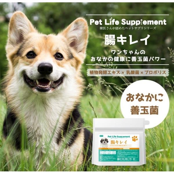 ybg Tvg h{⏕ N _ ̒LC lR|X 180~