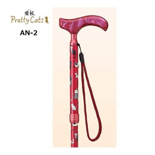  ܂肽  L XebL   veBLbc AN-2