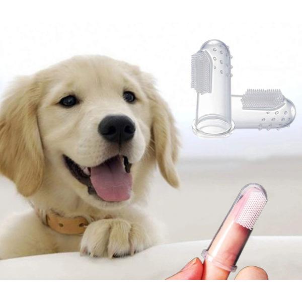 捧呈 Mcho 犬用指ブラシ 犬用 歯ブラシ フィンガータイプ ソフト 犬猫用歯ブラシ デンタルケア 歯のケア シリコーン 歯 フィンガー歯ブラシ
