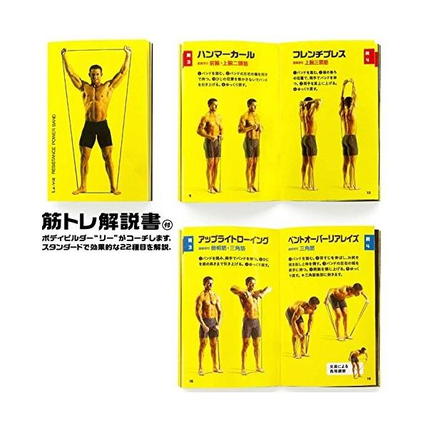 La Vie ラヴィ トレーニングチューブ 予約販売品 上級者向け レジスタンスパワーバンド レベル3