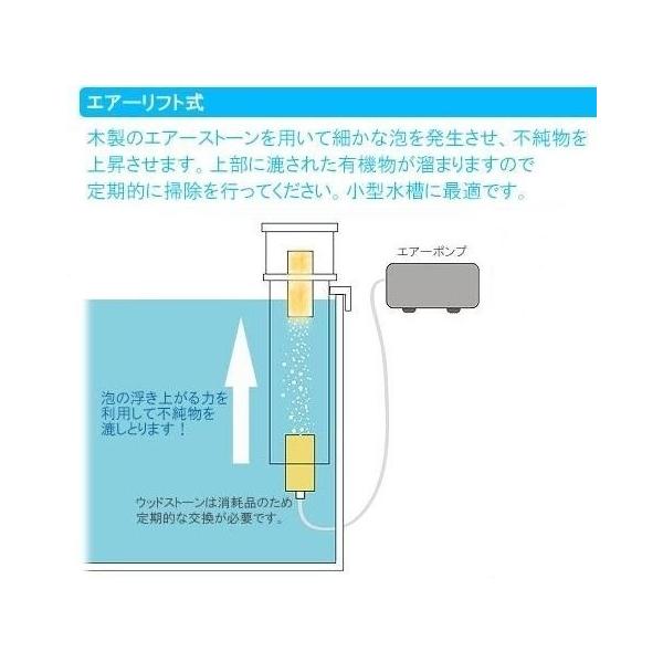 Aobax48 水槽用 プロテインスキマー 海水魚飼育用 水質改善 装置 23cm 23cm Www Baldygamichal Info