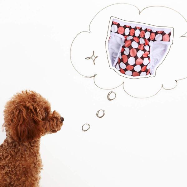 Ueetek 犬 おむつ 犬用おむつ 女の子 メス 犬 生理用パンツ ペットおむつ 2点セット Size Sサイズ Nissan Vietnam Vn