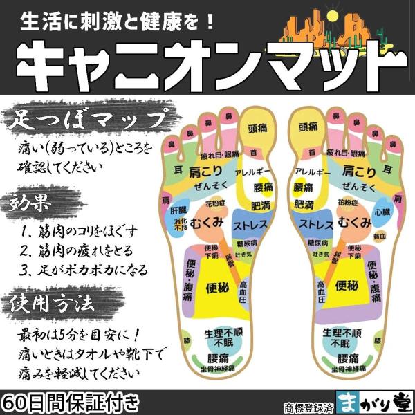 まがり堂元気を呼び戻せ 足つぼキャニオンマット 選べる5タイプ 2枚組 Softグリーン2個 Apaproduction Fr