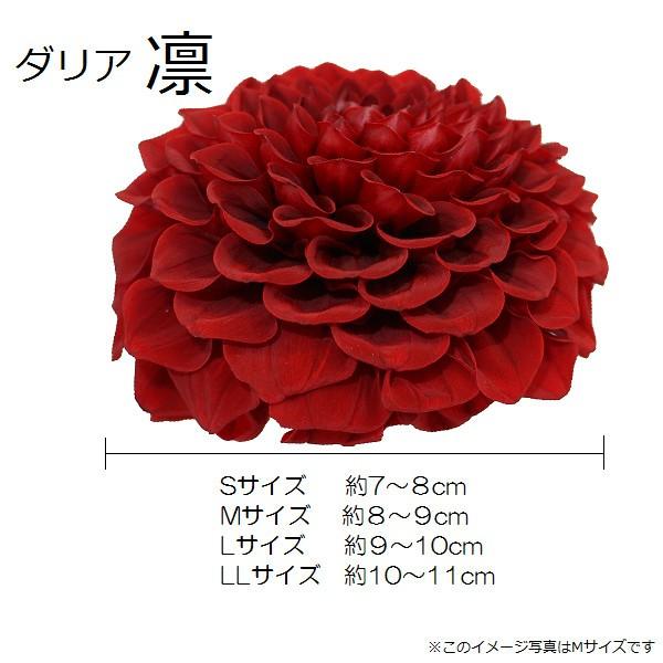 ダリア凛プリザーブドフラワー 約7 8cm Sサイズ１輪ローズレッド 大きい材料 大きな花材資材 フラワーギフト プレゼント 教室 アレンジメント お花屋さん Buyee 日本代购平台 产品购物网站大全 Buyee一站式代购 Bot Online