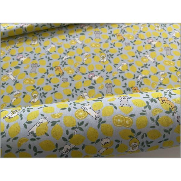 marble 50cm ブロード 生地 布 レモン 猫 ネコ コットン gray lemon 21C
