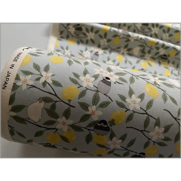 marble 50cm ツイル 生地 布 プリント レモン 文鳥 とり 檸檬 ice gray 2D