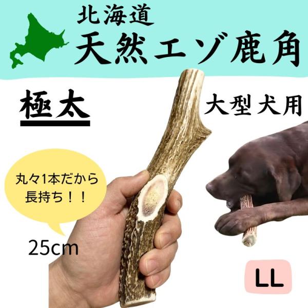 極太で長さが約25cmの特大サイズです。【Shicantaの鹿角について】■カジカジするのが大好きなわんちゃんのための北海道天然エゾ鹿角です。■半割りではなく、1本丸々で噛み応えがあります。■ケガをしないように全ての切り口は丸く削っています...
