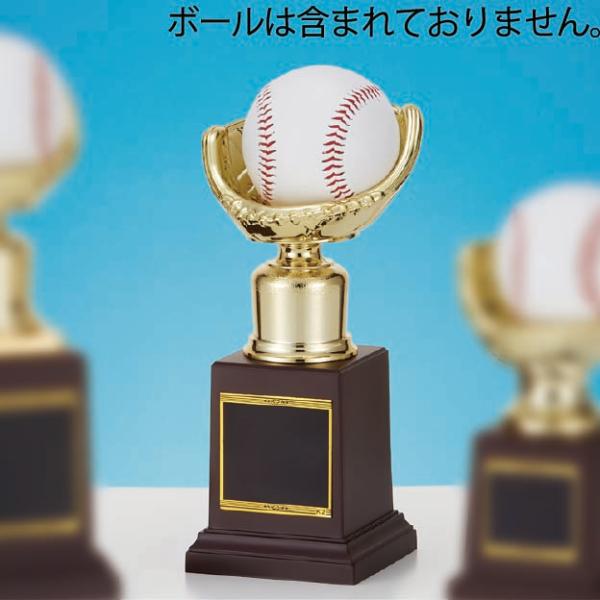 サインボールなど記念のボールを飾ることができます。商品にボールは含まれておりません。記念品、卒業記念、卒団記念などに最適です。装飾に紅白リボンを取り付けます（無料）。