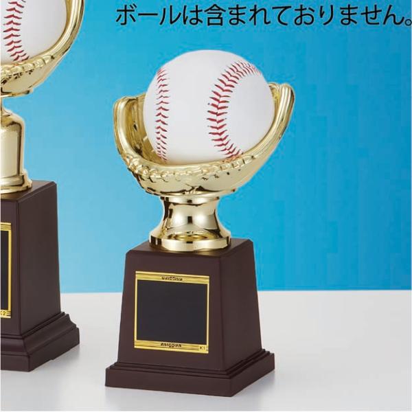 サインボールなど記念のボールを飾ることができます。商品にボールは含まれておりません。記念品、卒業記念、卒団記念などに最適です。装飾に紅白リボンを取り付けます（無料）。
