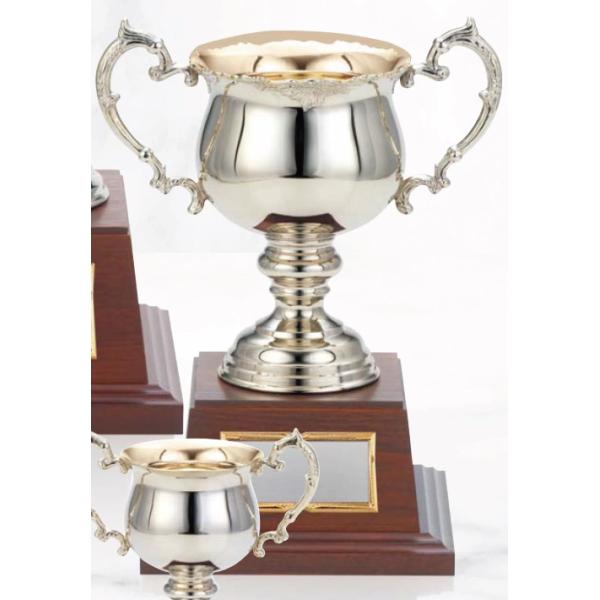 march5828-1_dc-1410b