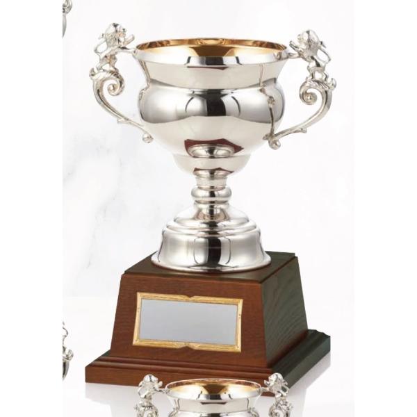 march5828-1_dc-1421b